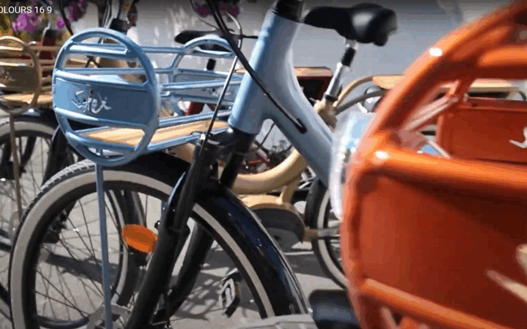 L’esprit Solex, l’Île de Ré en couleurs… 💜💙🧡💛🖤